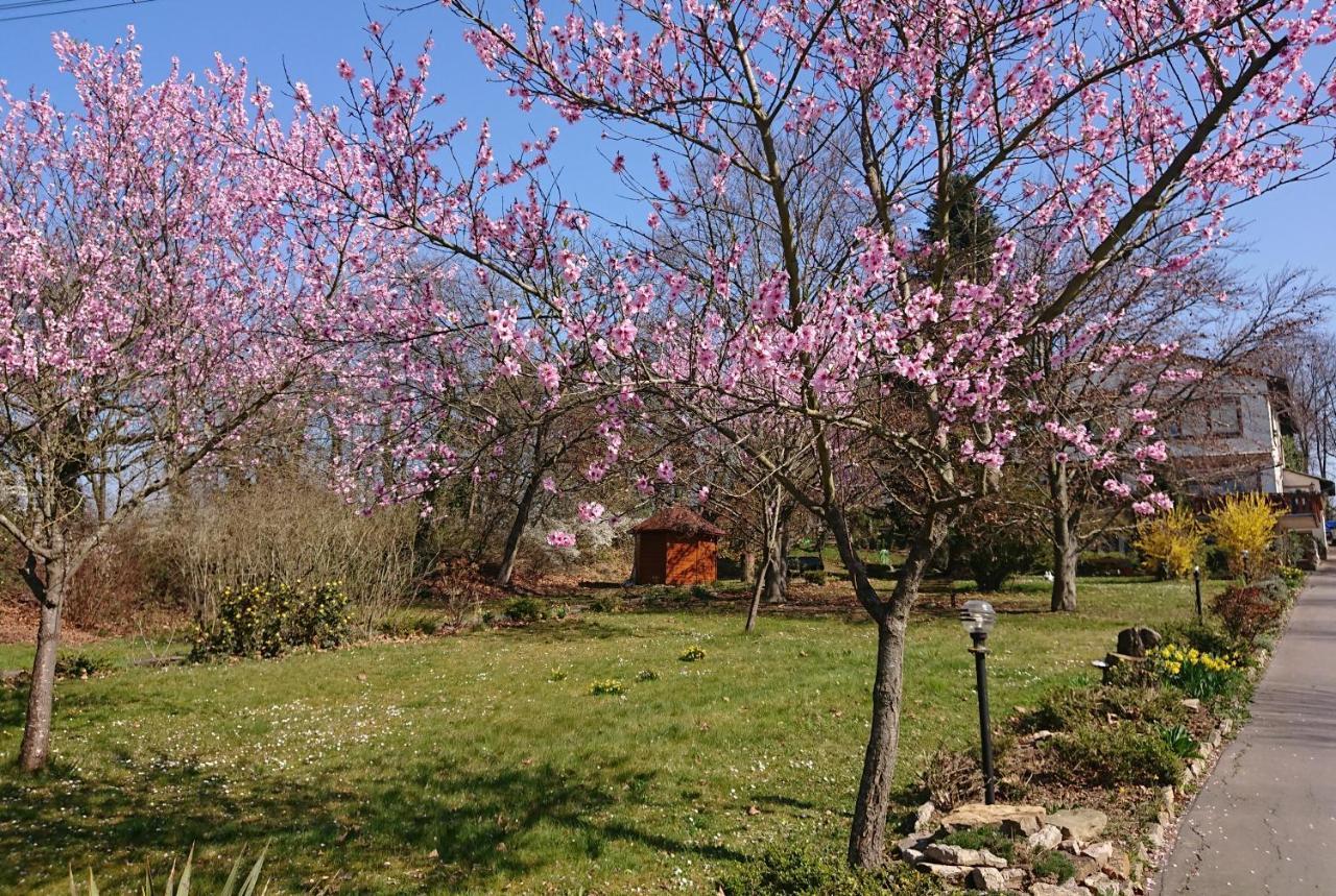 Landgasthof Gaensberg Вислох Екстериор снимка